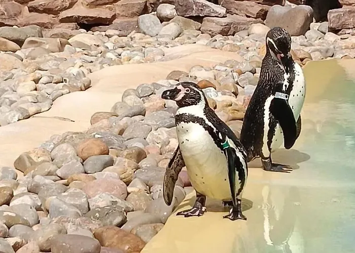 فيلة Casa Jaime بويرتو ذيل كارمين