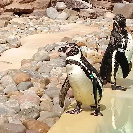 فيلة Casa Jaime بويرتو ذيل كارمين